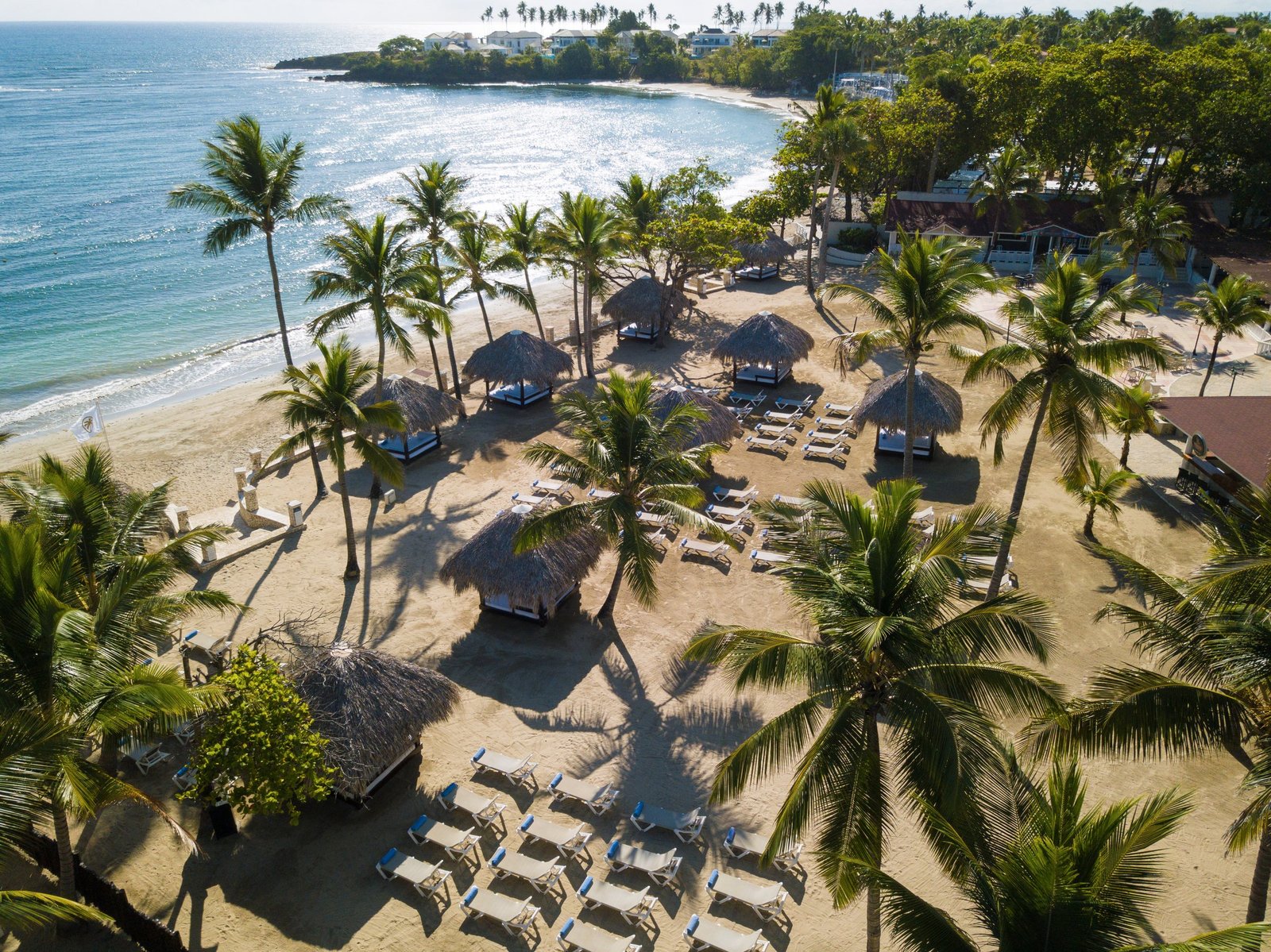 Palm-lined Caribbean beach and bright blue water